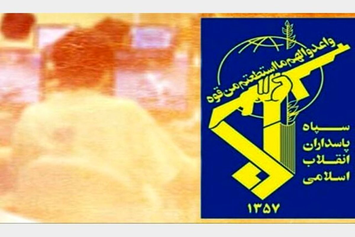 دستگیری لیدرهای یک شبکه مبتذل در شیراز