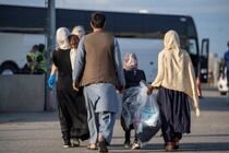 ۵۶ شرکت مشکوک به فعالیت صوری با مالکیت ۱۰۰ درصدی اتباع خارجی شناسایی شد