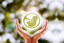 حمایت ۱۴۰ میلیون تومانی بیمه‌ای از زوجین نابارور در اردبیل