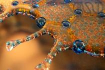 آثار هنری دانش‌آموزان در حوزه نانو ارزیابی می‌شود