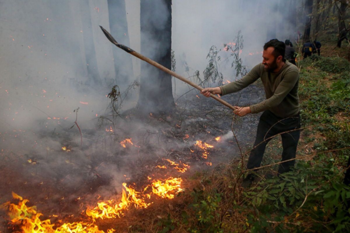 رئیس دادگستری مازندران