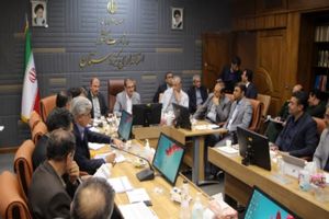 سهم کردستان از مشاغل خانگی ۱۱۶ میلیارد تومان است