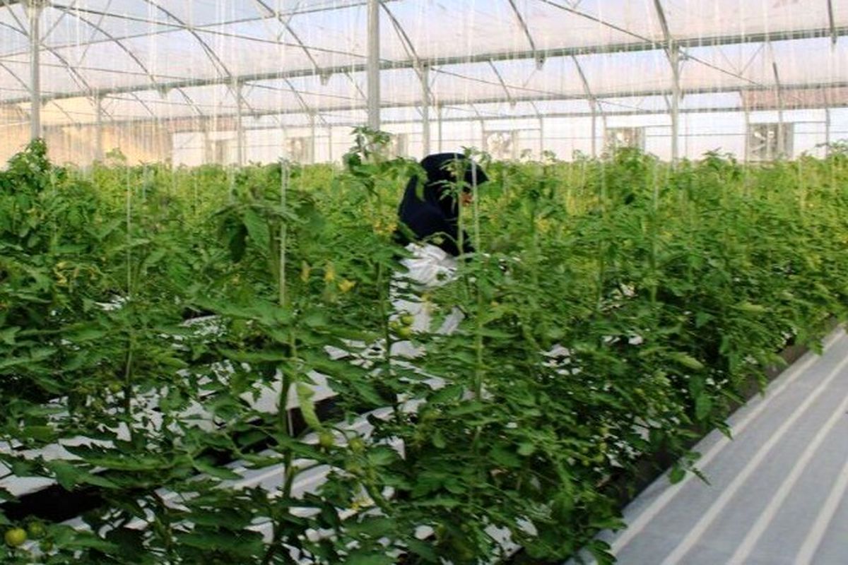 طرح کشاورزی