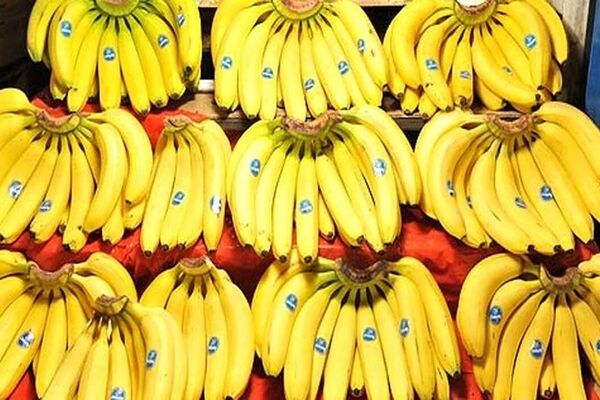 توقف واردات موز تکذیب شد