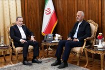 سرپرست سفارت ایران در کابل با وزیر امور خارجه دیدار کرد