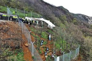 حضور خانواده شهدای خدمت در معراج شهدای خدمت