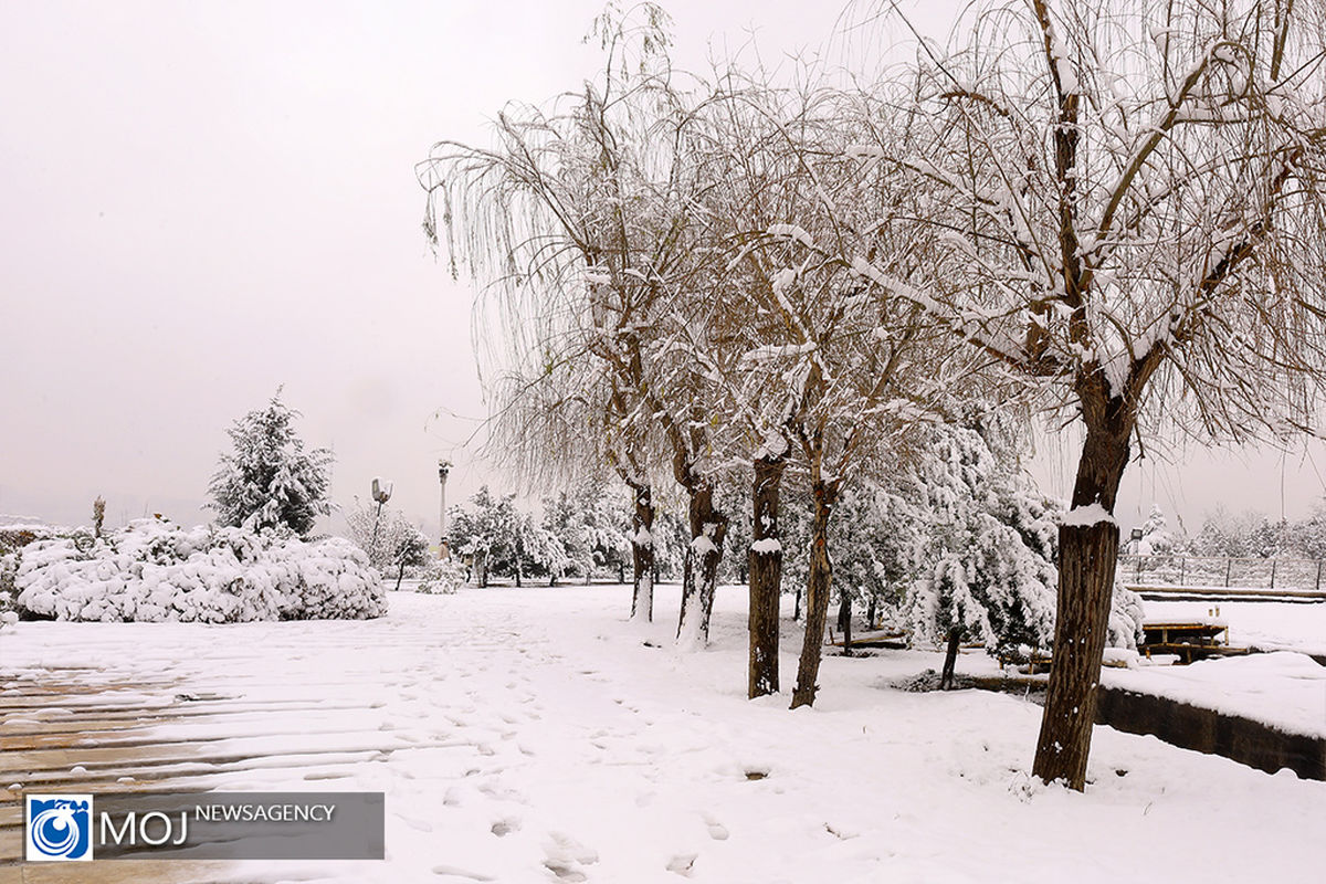 بارش برف در تهران