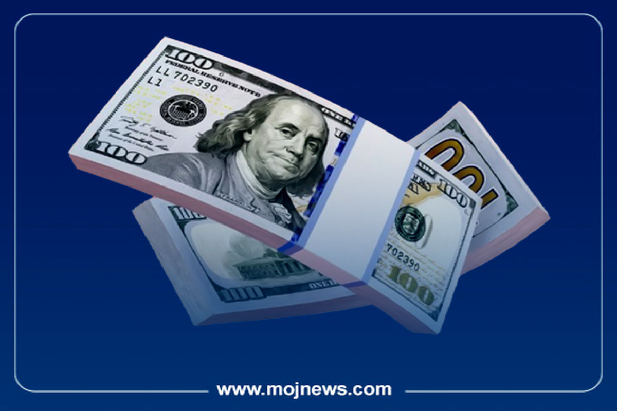 کاور اینفو2 copy