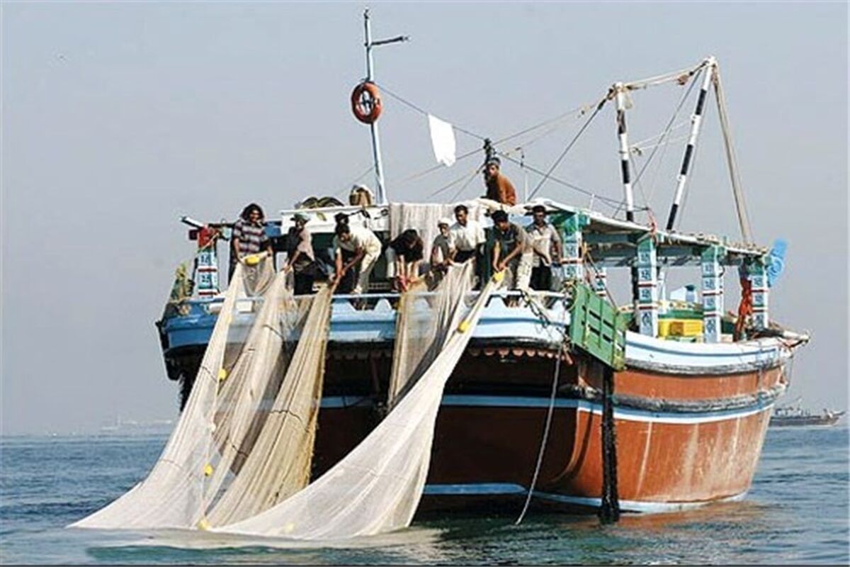 صيادي