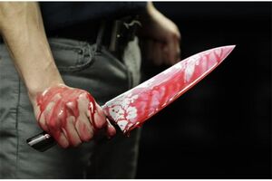 قتل هموطن افغان به دلیل اختلافات خانوادگی