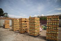 ۵۰۰ عامل اصلی کالای قاچاق در مرزها فعالند