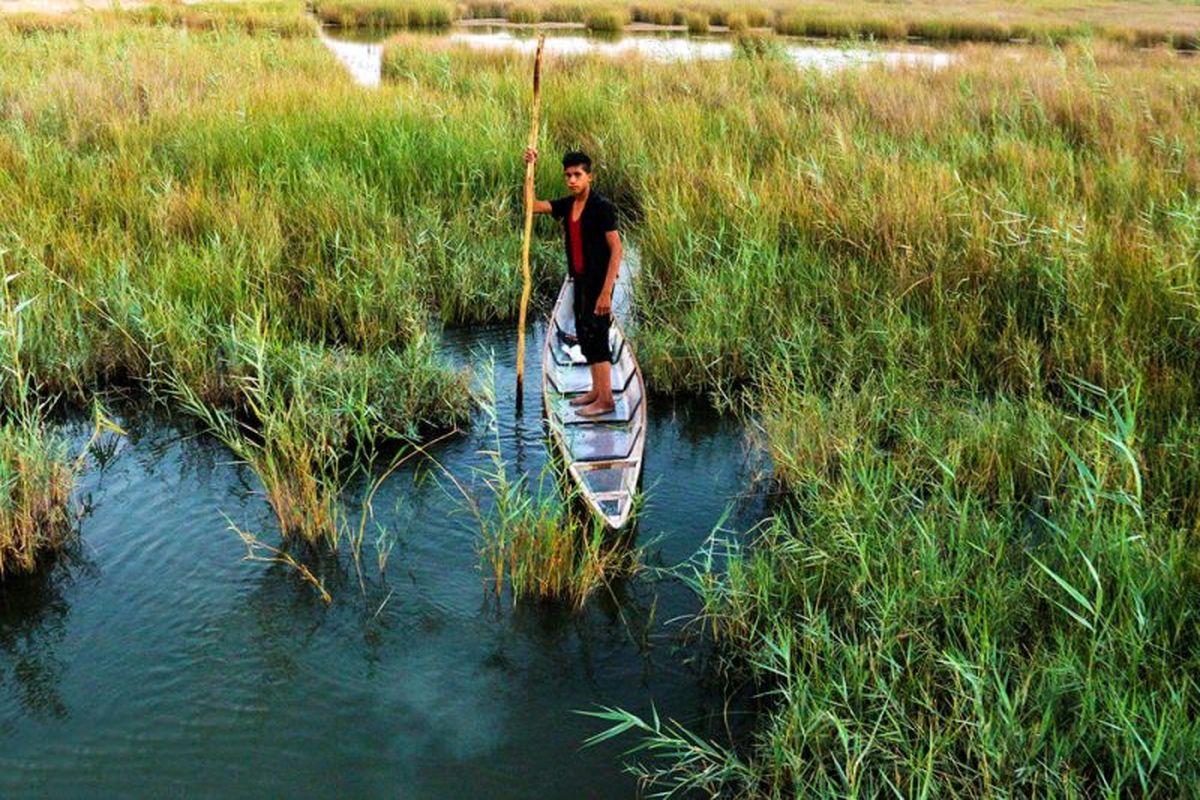 تالاب شادگان 