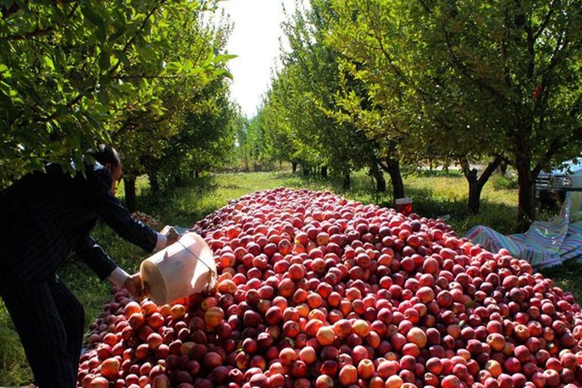 محصولات باغی کردستان