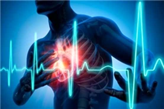 فست فودها دشمن بزرگ سلامت قلب هستند/ تا میتوانید ورزش کنید