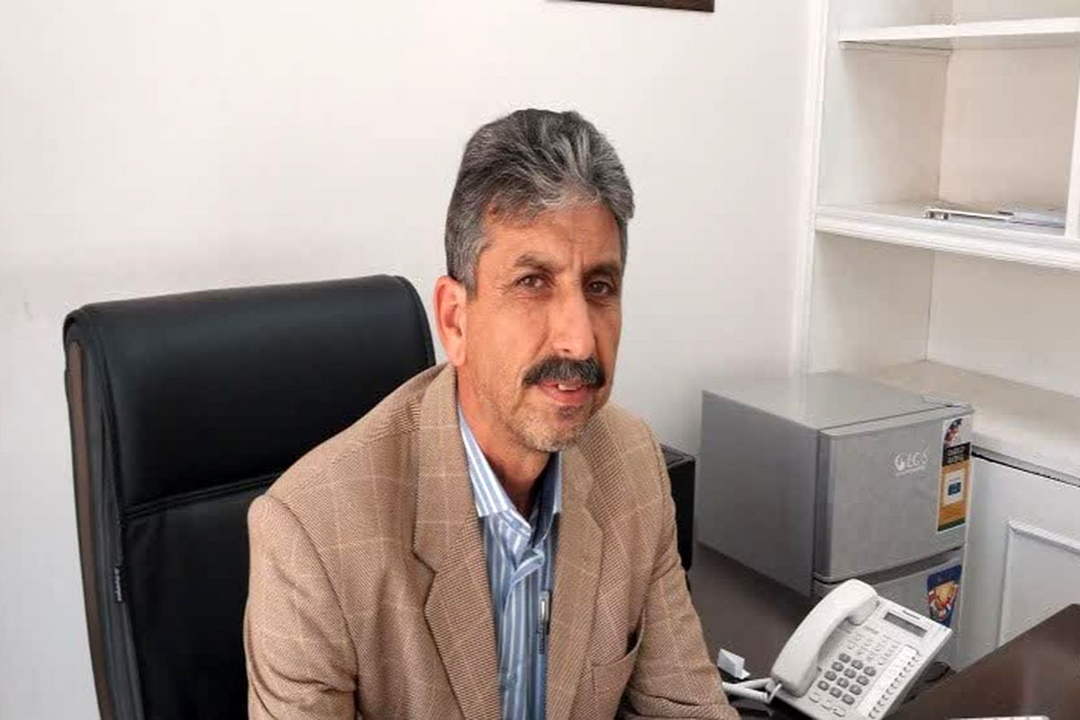 بیگی