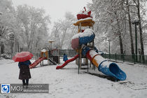 روز برفی در پارک نیاوران