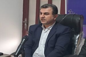 ۴۵۰۰ اصله شمشاد در محدوده مهربان‌رود کاشته شد