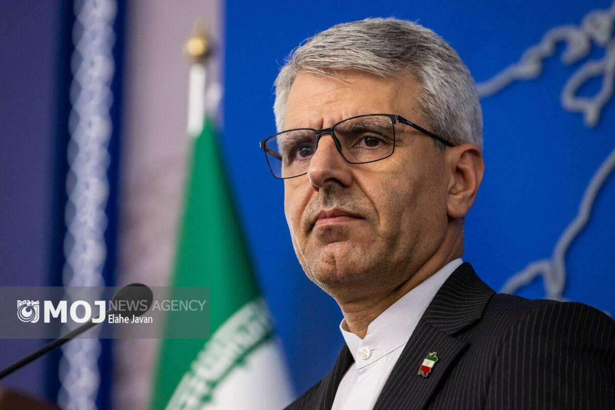 اسماعیل بقایی + سخنگوی وزارت امور خارجه