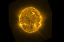  ثبت پدیده‌ای عجیب؛ خزیدن مار روی خورشید +فیلم