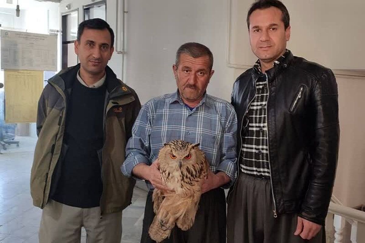 محیط زیست