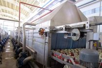 اشتغال‌زایی برای ۲۱۴ نفر با بهره برداری از ۲۲ واحد صنایع تبدیلی در فارس