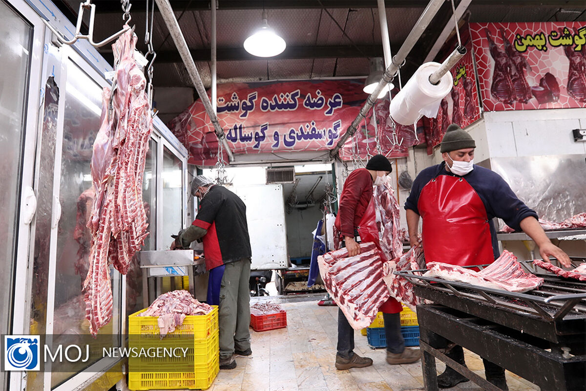 بازدید مخبر از میدان عرضه گوشت و مرغ بهمن