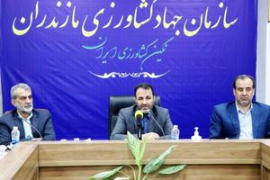 دیپلماسی غذایی برای صادرات مرکبات مازندران به چین/ مرکبات مازندران در راه روسیه، هند و چین