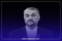 اینفوگرافیک/نگاهی به زندگی‌نامه و سوابق شهید حسین امیرعبداللهیان 