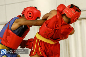 رئیس فدراسیون ووشو انتخاب شد