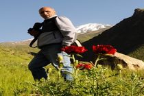 شرافت عکس در لنز علی