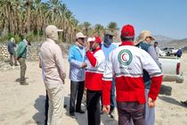 تلاش برای کنترل آتش‌سوزی در ارتفاعات هماگ ادامه دارد 