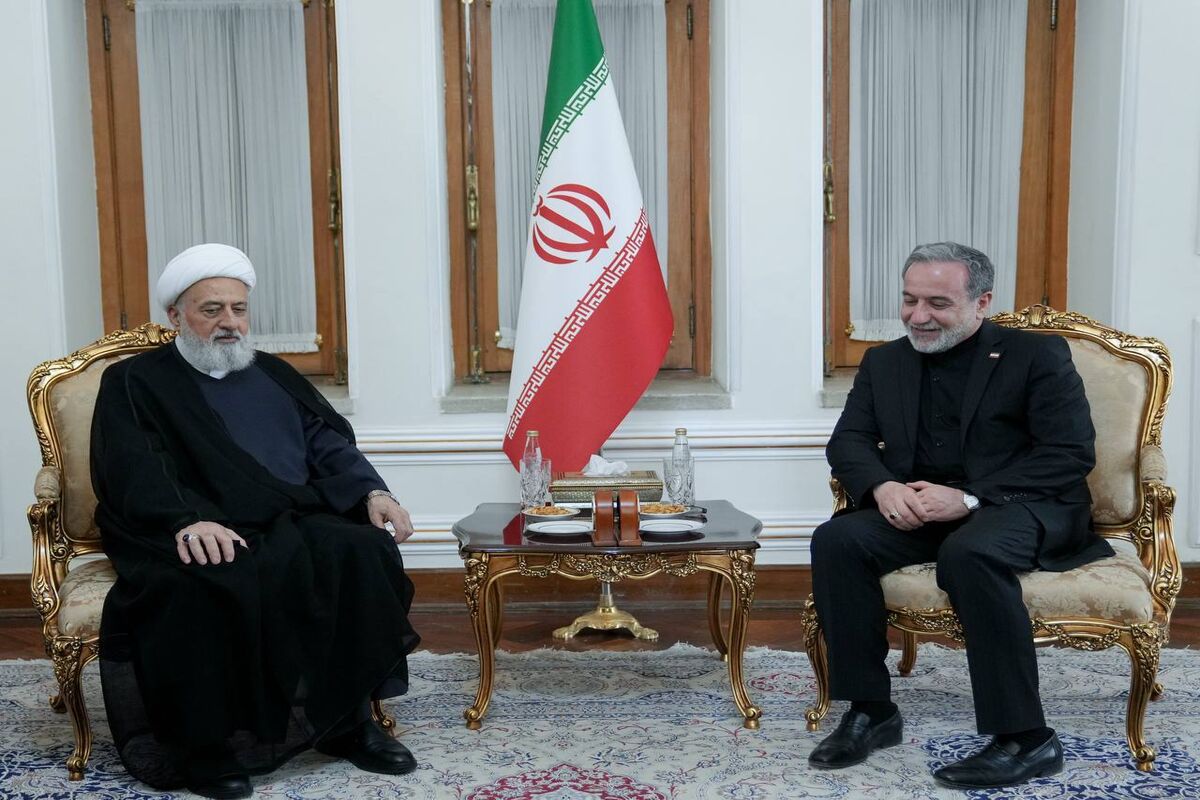 عراقچی+مجلس+اعلا
