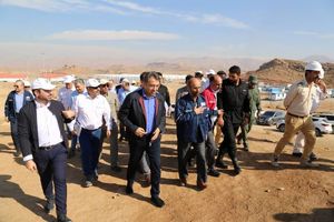 بیدبلند خلیج فارس نمادی از عزت و افتخار در صنعت ایران است