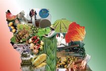 صنایع تبدیلی نیاز اصلی استان کردستان است