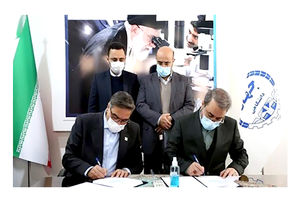 تولید آفت کش‌های گیاهی و دارو‌های دامی با راه‌اندازی مجتمع کشت و فرآوری گیاهان دارویی 