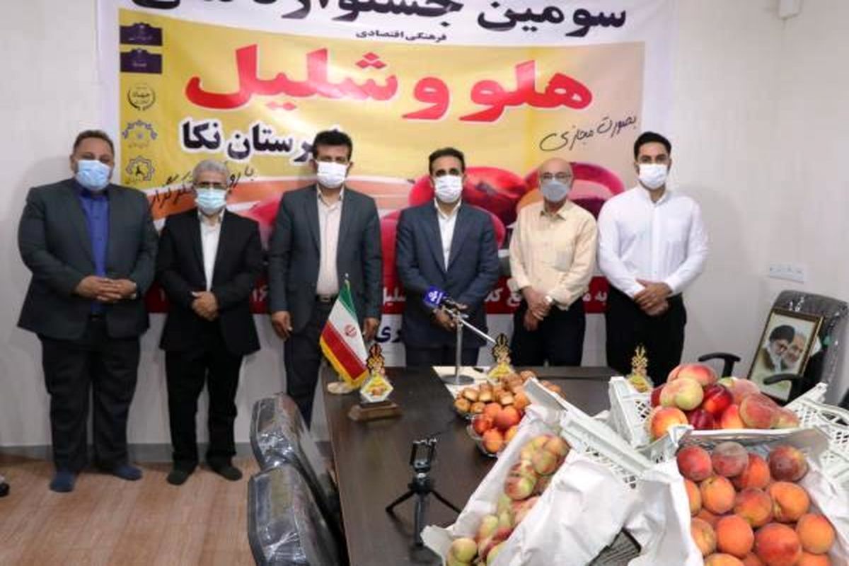 شلیل در نکا