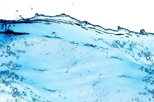 مرگ دشت‌های بحرانی نزدیک است