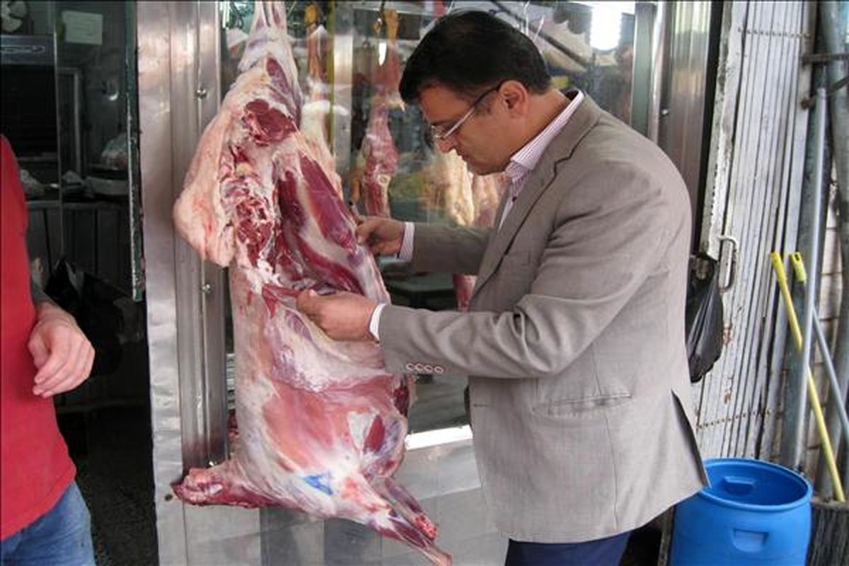 طرح ضربتي روز دامپزشکي-لنگرود (2)