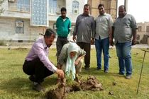 شهرداری خرمشهر از بانوی همیار فضای سبز تقدیر کرد