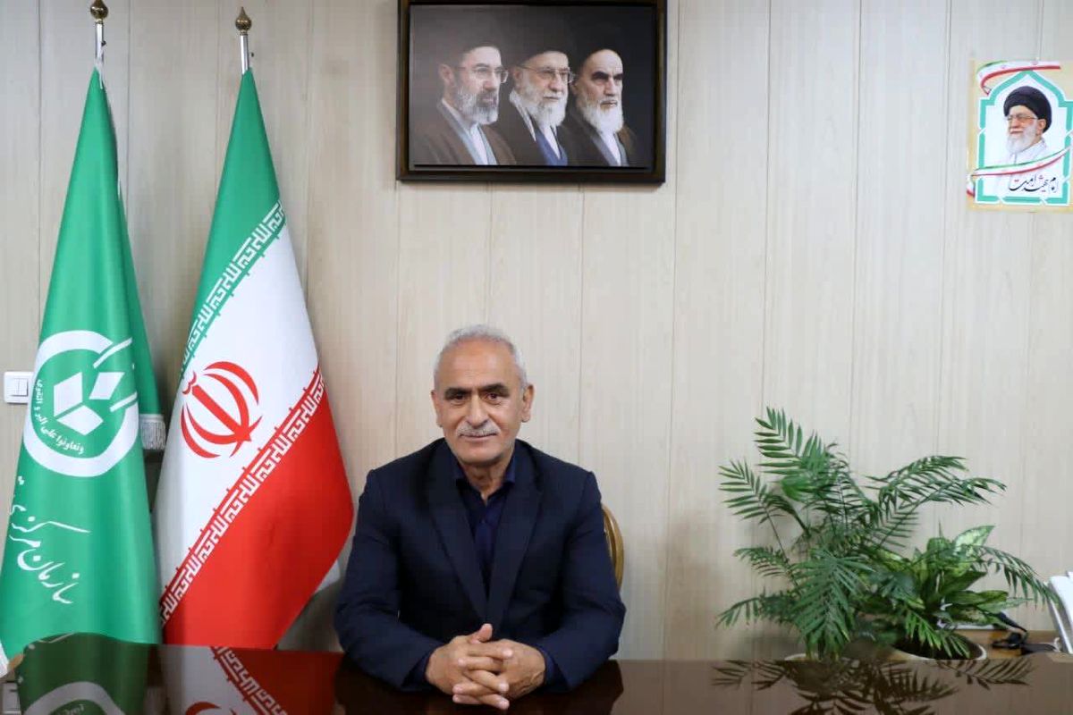 علی برابری