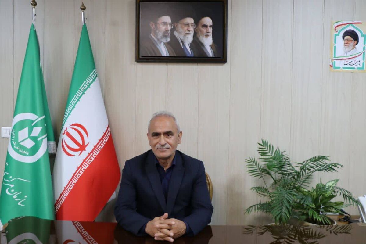 علی برابری
