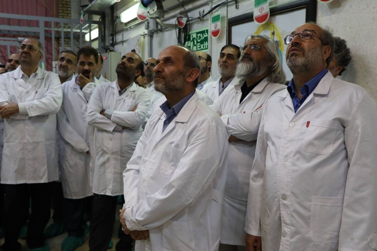 پیمان جبلی