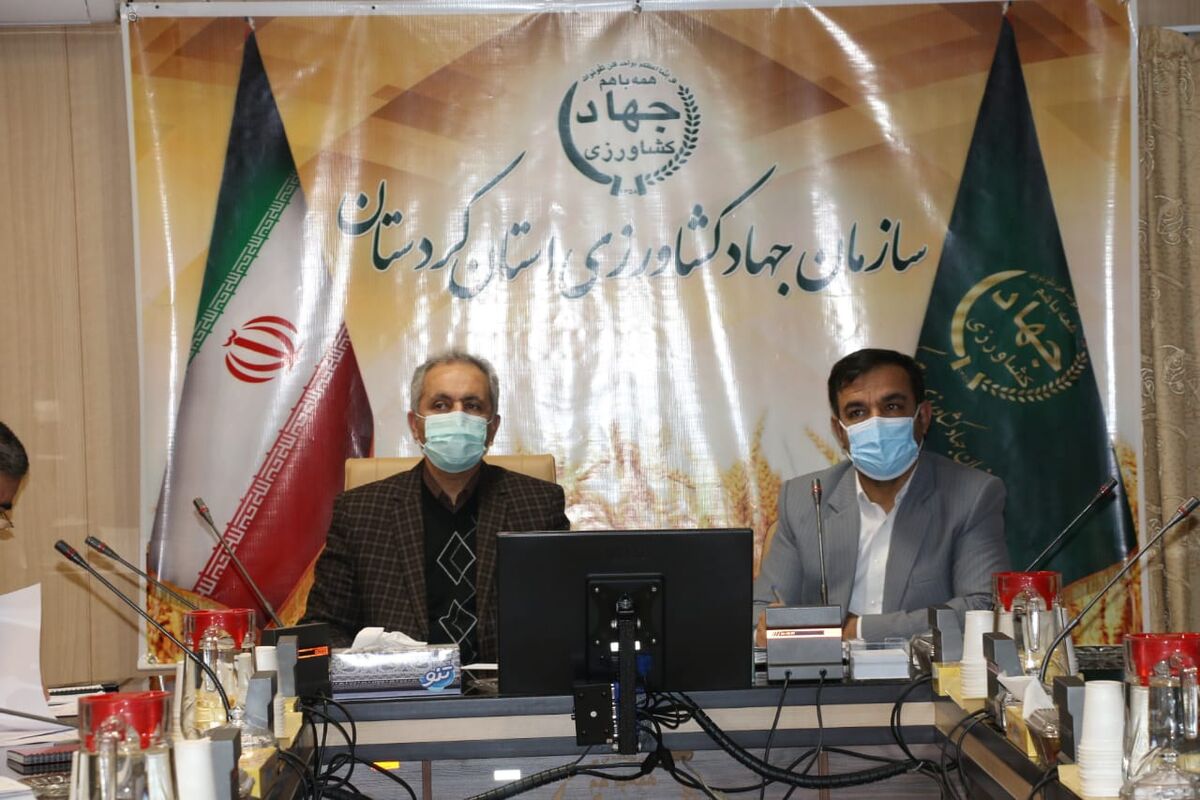 محمد فرید سپری