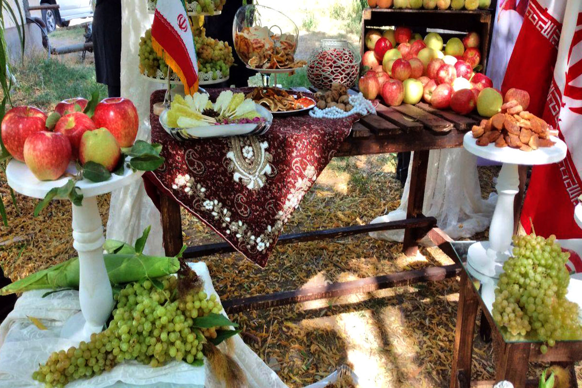 برداشت سیب و انگور از باغات شهرستان درگز