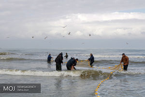 هشدار سازمان هواشناسی نسبت به مواج شدن دریای خلیج فارس و خزر