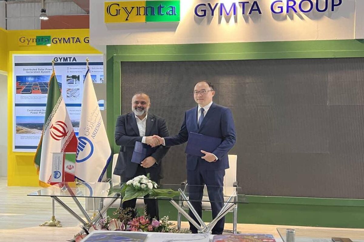 هلدینگ