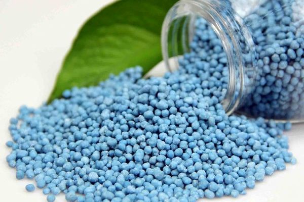 نیاز ۳۰ هزار تنی کشور به کود/ فقط یک‌سوم وارد شده است