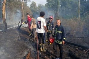 ۴ هزار متر مربع پوشش گیاهی پارک جنگلی سی سنگان در آتش سوخت