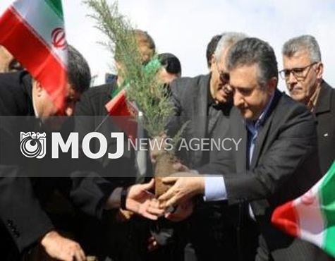 غرس 40 اصله نهال در پارک کودک سنندج