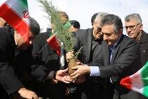غرس 40 اصله نهال در پارک کودک سنندج 